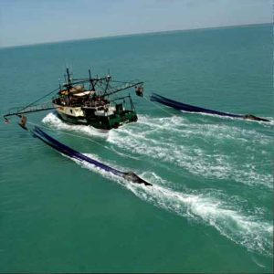 صید ترال - ماهیگیری صنعتی